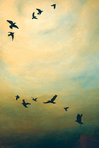 Cynthia Newman - Ex Avibus, The Gathering 